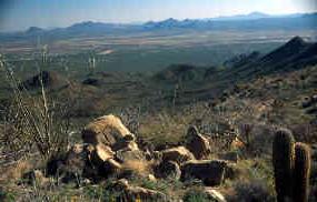 A view over the Ironwood Forest National Monument